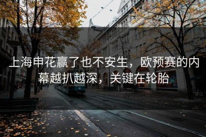 上海申花赢了也不安生，欧预赛的内幕越扒越深，关键在轮胎