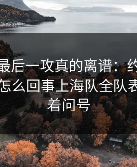季后赛最后一攻真的离谱：约基奇没出手，怎么回事上海队全队表情都写着问号