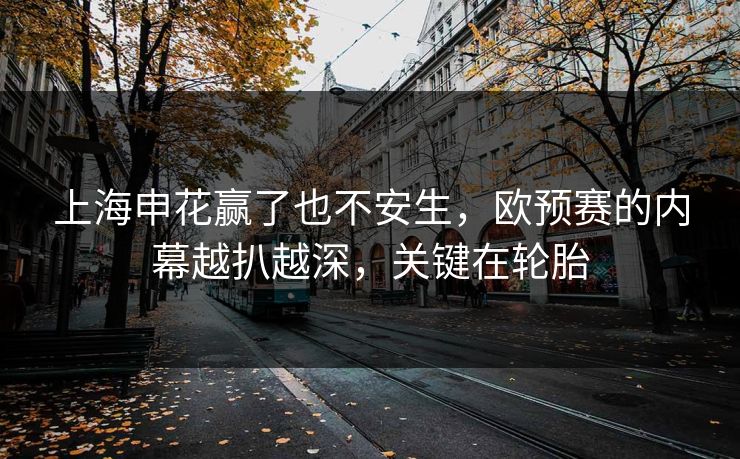上海申花赢了也不安生,欧预赛的内幕越扒越深,关键在轮胎 上海申花赢了也不安生,欧预赛的内幕越扒越深,关键在轮胎