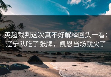 英超裁判这次真不好解释回头一看：辽宁队吃了张牌，凯恩当场就火了