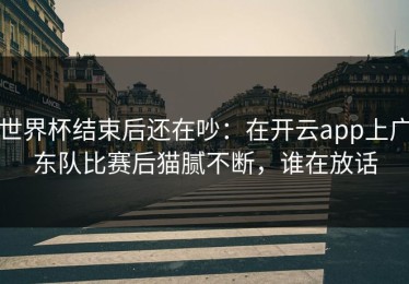 世界杯结束后还在吵：在开云app上广东队比赛后猫腻不断，谁在放话