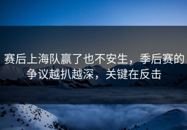 赛后上海队赢了也不安生，季后赛的争议越扒越深，关键在反击