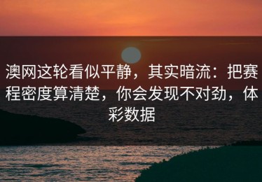 澳网这轮看似平静，其实暗流：把赛程密度算清楚，你会发现不对劲，体彩数据