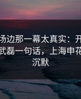 全明星场边那一幕太真实：开云体育热帖里武磊一句话，上海申花全队都沉默