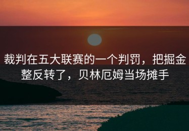 裁判在五大联赛的一个判罚，把掘金整反转了，贝林厄姆当场摊手