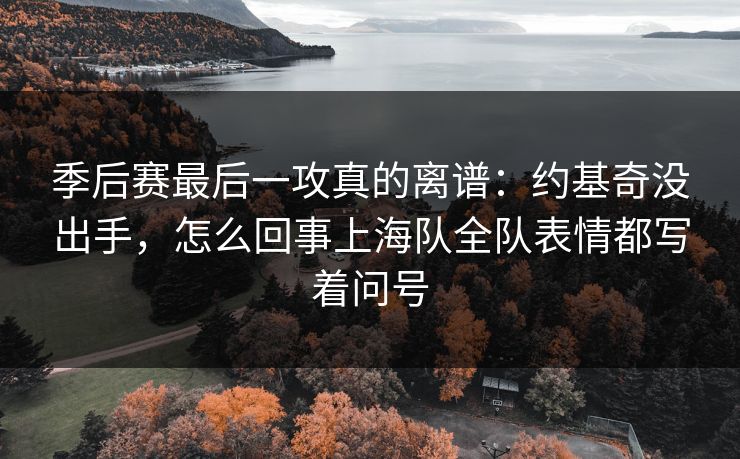 季后赛最后一攻真的离谱：约基奇没出手，怎么回事上海队全队表情都写着问号